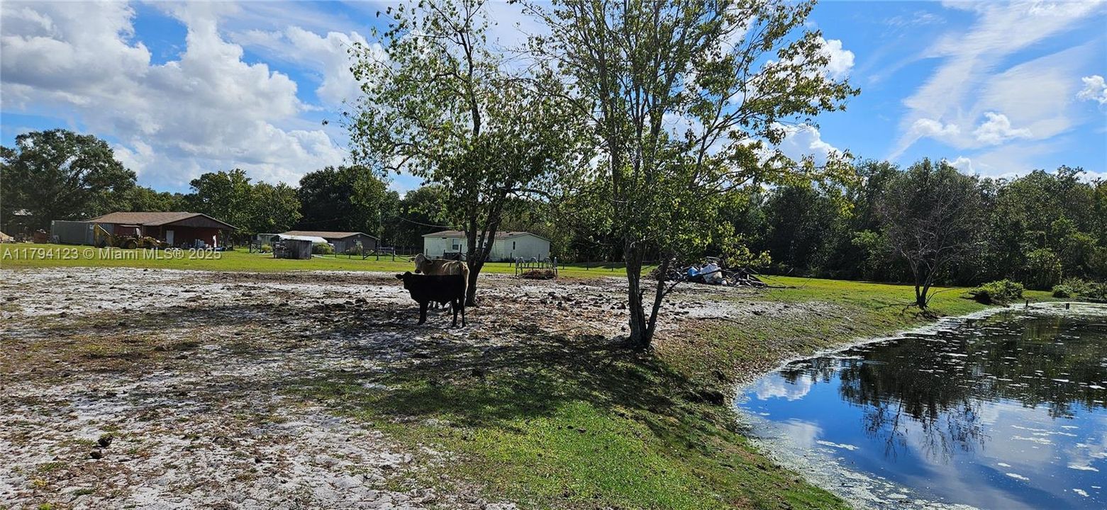 For Sale: $1,200,000 (7 beds, 4 baths, 0 Square Feet)