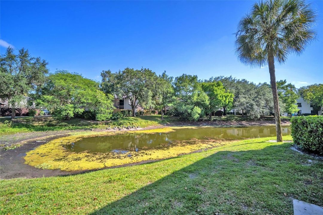 For Sale: $290,000 (3 beds, 2 baths, 1115 Square Feet)