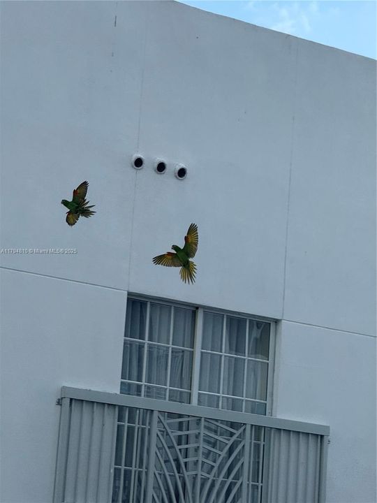 For Sale: $410,000 (1 beds, 1 baths, 655 Square Feet)