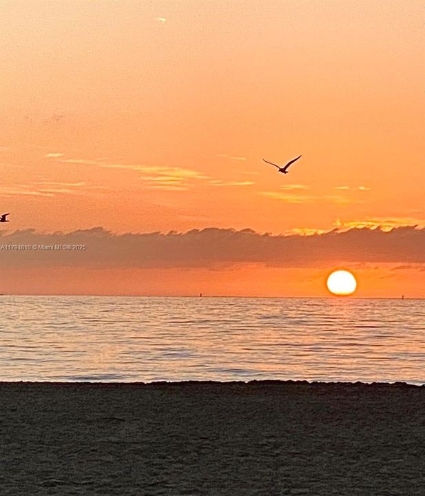 For Sale: $410,000 (1 beds, 1 baths, 655 Square Feet)