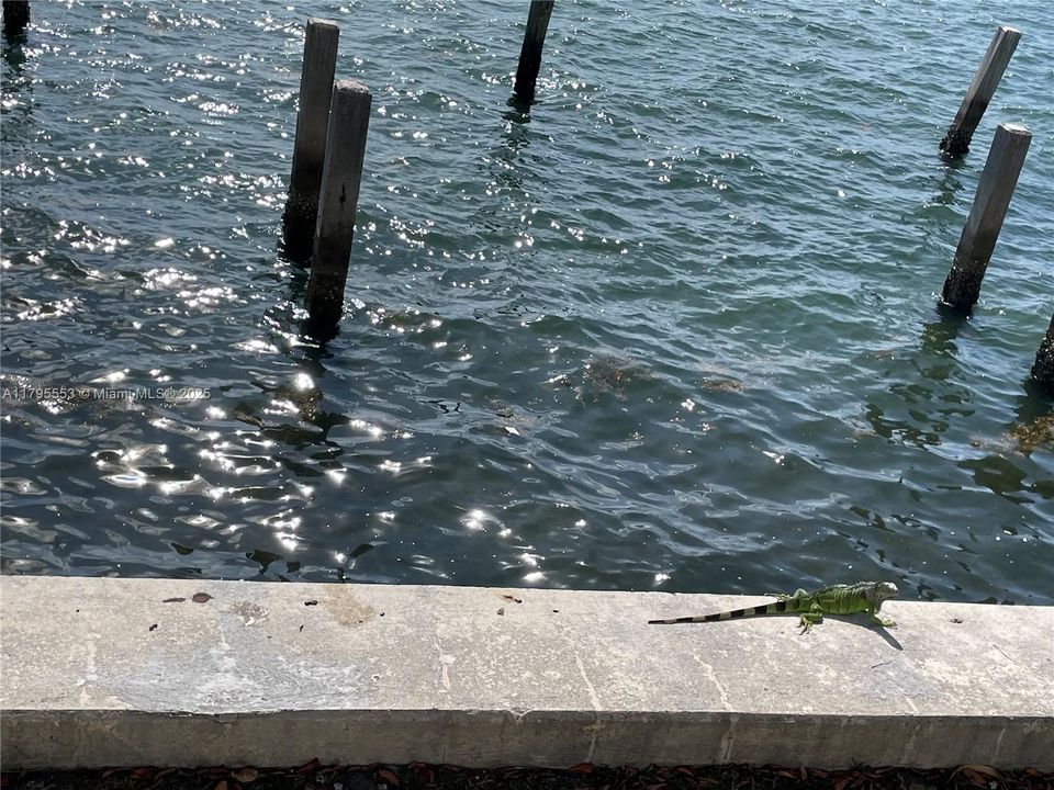 最近售出: $335,000 (1 贝兹, 1 浴室, 768 平方英尺)