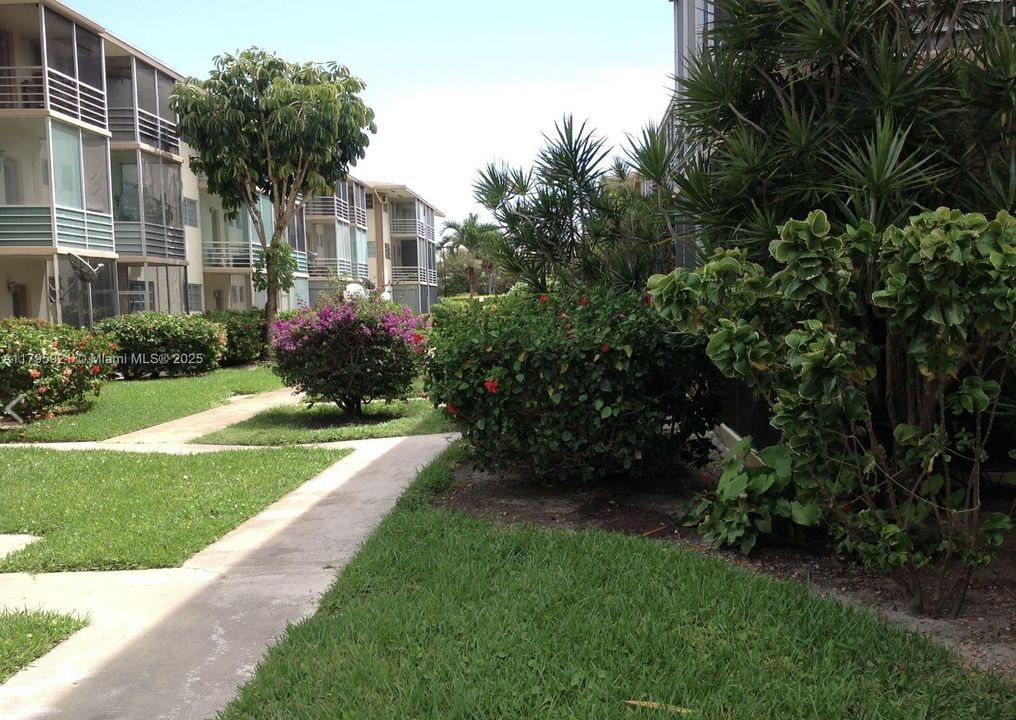 合同活跃: $60,000 (1 贝兹, 1 浴室, 688 平方英尺)