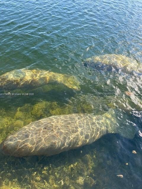 Recently Sold: $1,599,000 (3 beds, 2 baths, 1582 Square Feet)