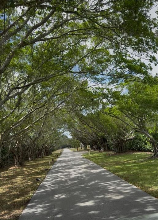 For Sale: $19,400,000 (15.00 acres)