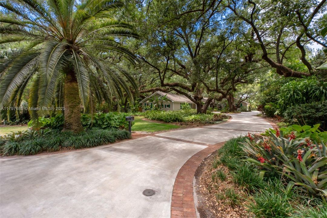 Gorgeous private driveway