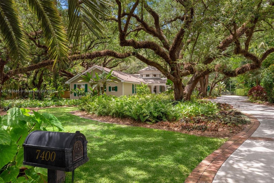 1.06 acre of regal oaks and 20+ species of palms