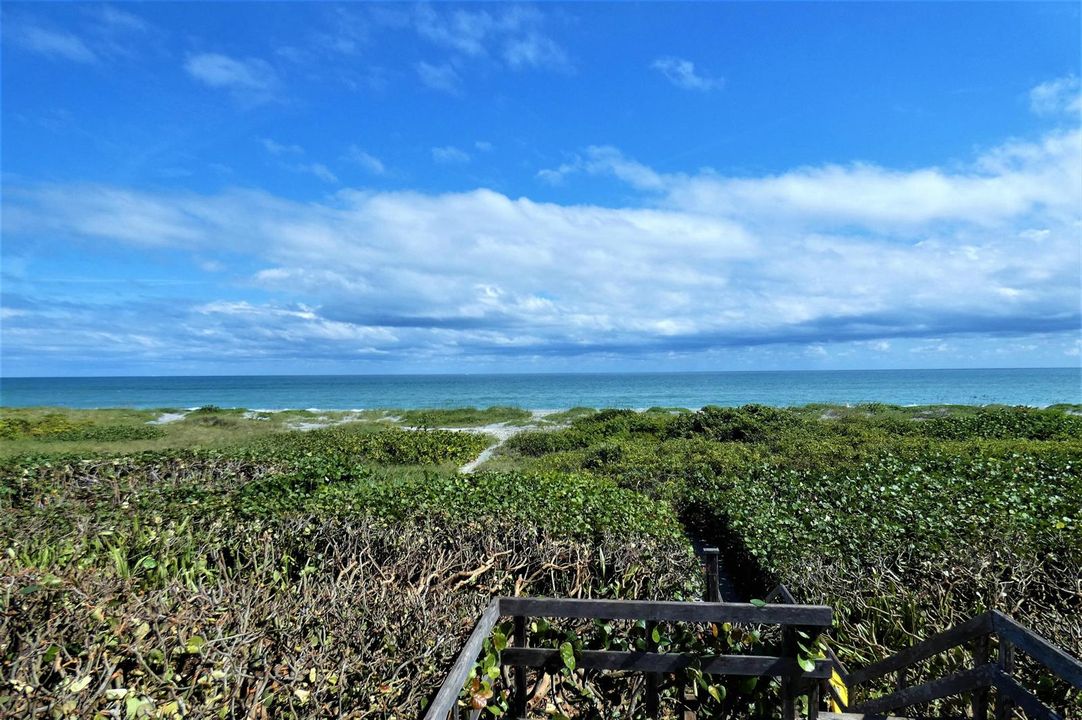 P1000942 (2)
