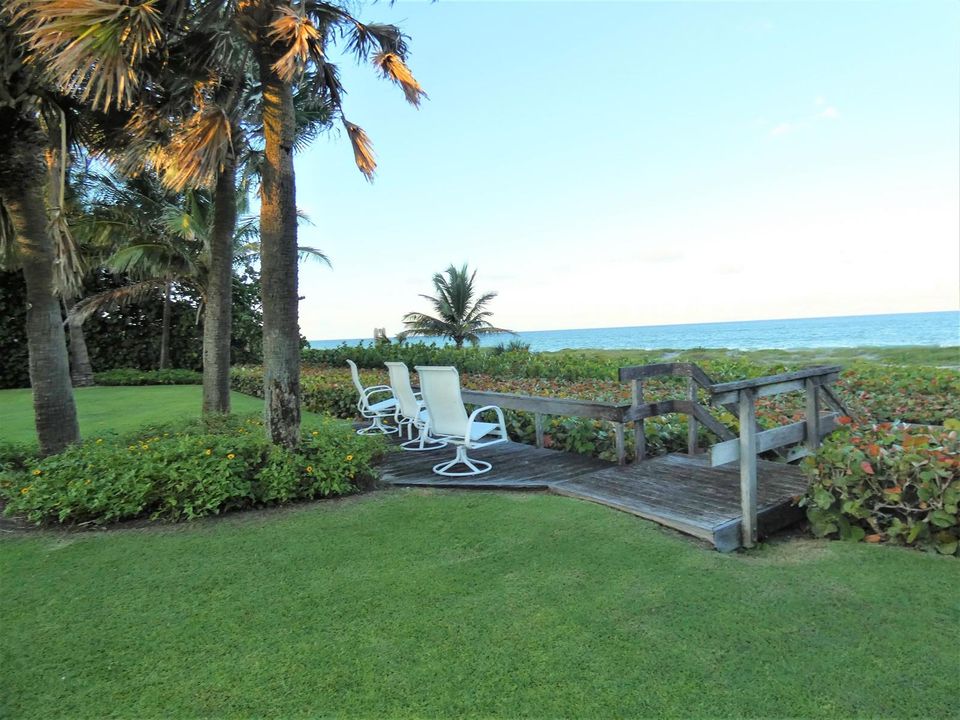 P1000878 (2)