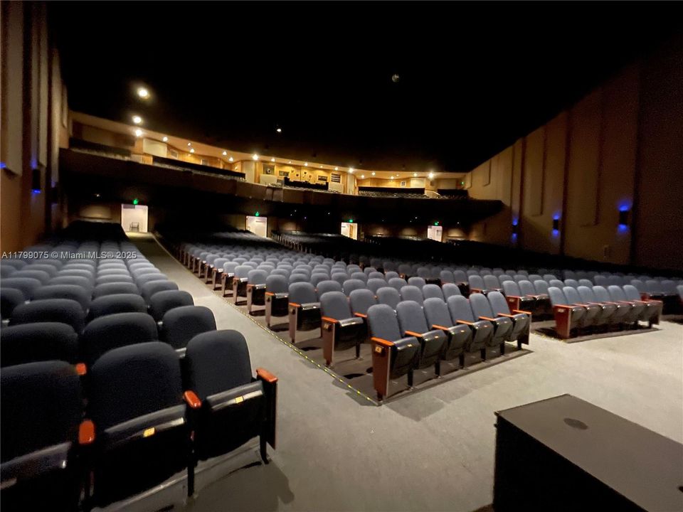 Broadway Theater Room