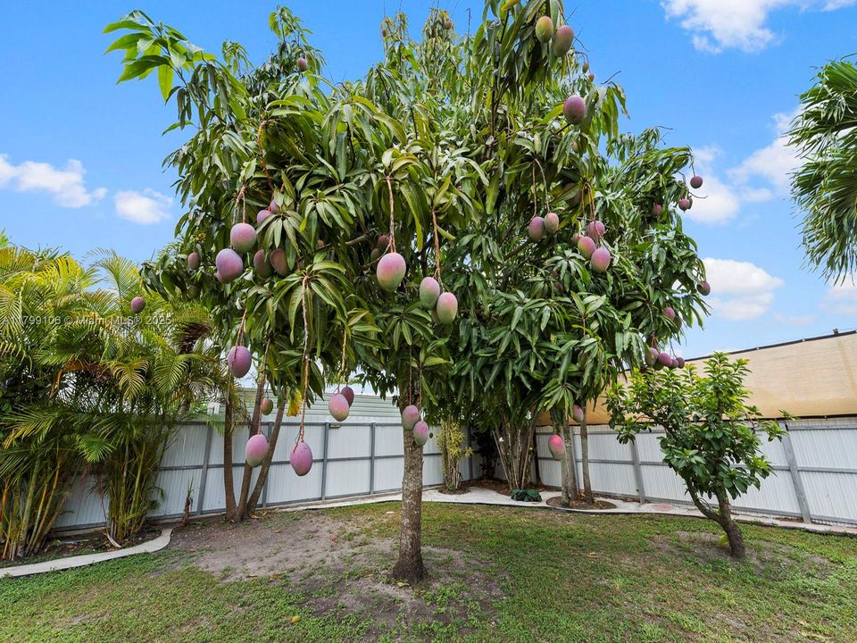 Recently Sold: $799,900 (4 beds, 3 baths, 2401 Square Feet)