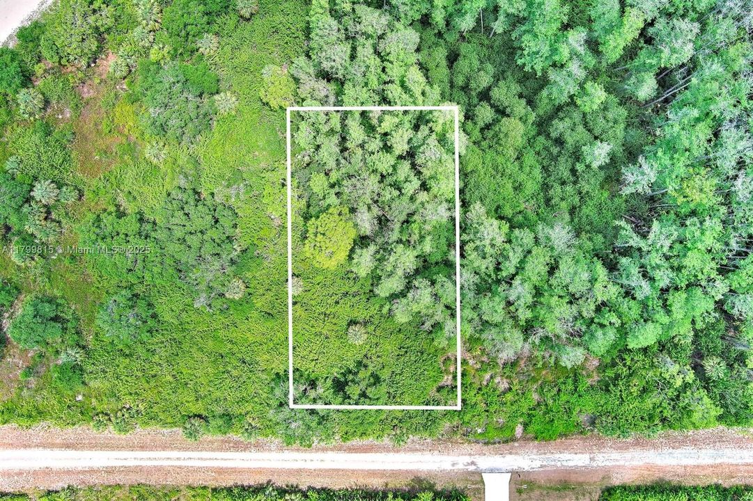For Sale: $43,000 (0.41 acres)