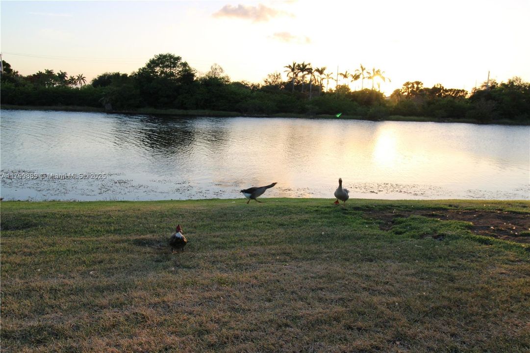 合同活跃: $749,900 (3 贝兹, 2 浴室, 1815 平方英尺)