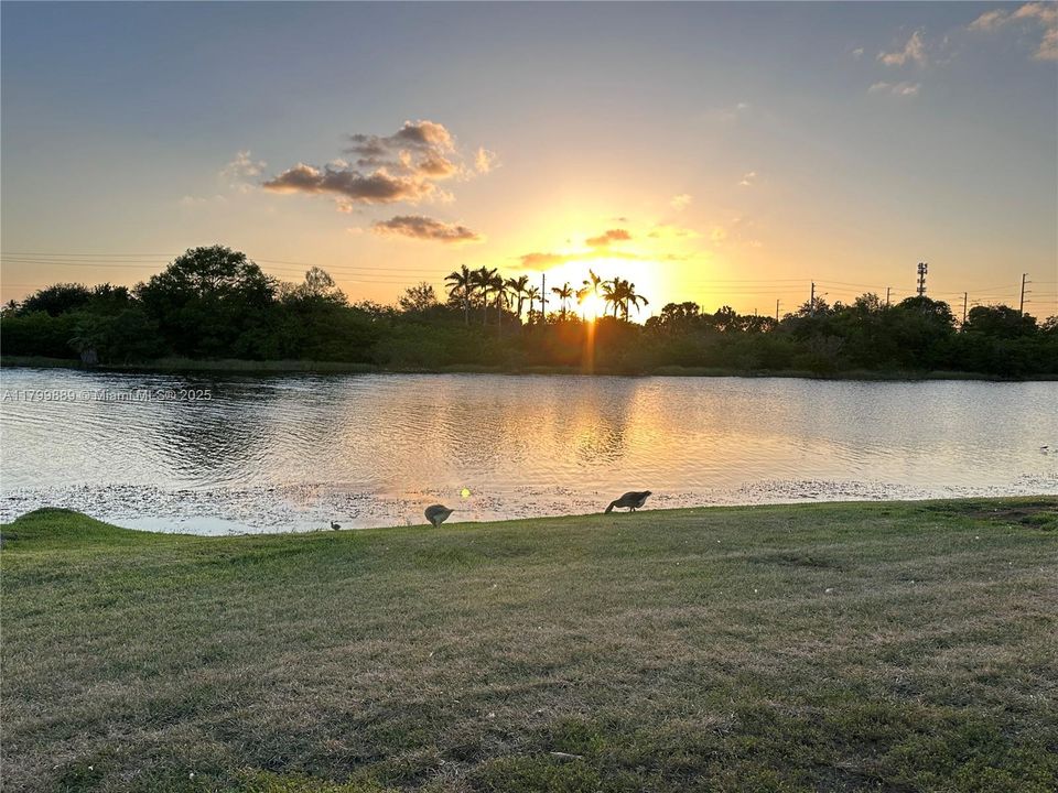 合同活跃: $749,900 (3 贝兹, 2 浴室, 1815 平方英尺)