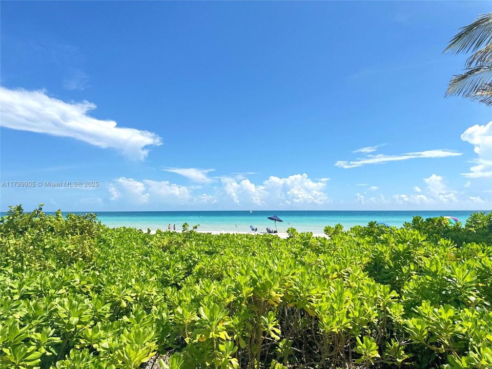 For Sale: $229,900 (1 beds, 1 baths, 878 Square Feet)