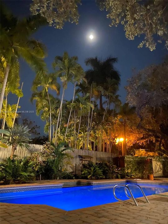 Night life by the pool in a tropical oasis
