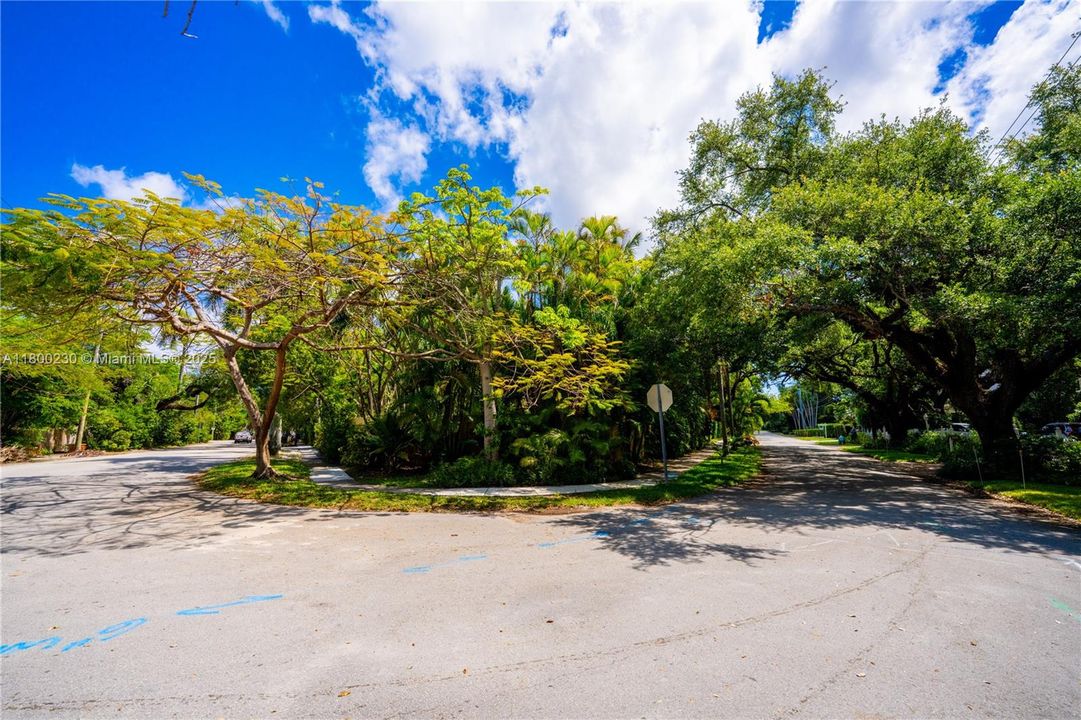 Royal Poinciana on corner of 17th Avenue with Micanopy Avenue