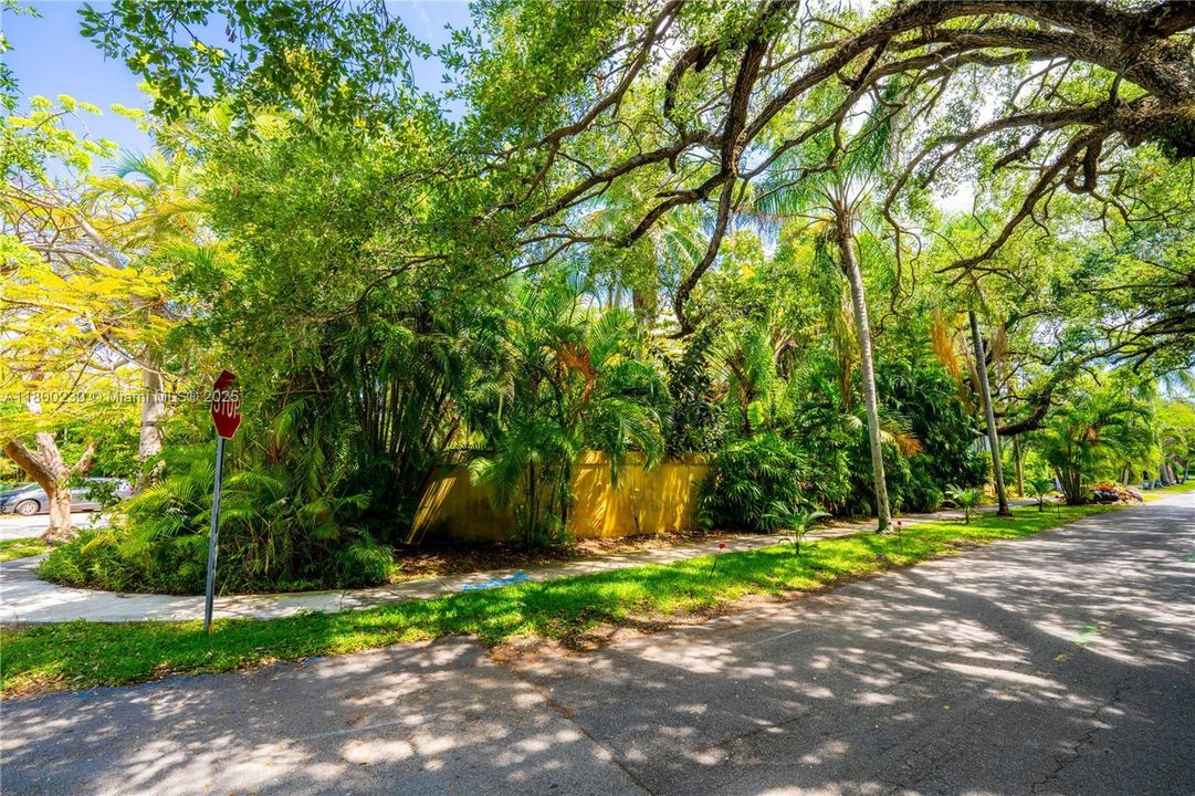 View of the House from Micanopy Avenue