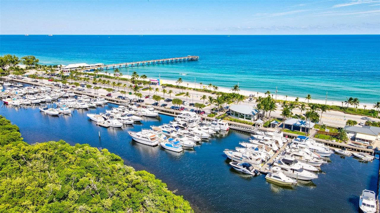 Nearby Dania Beach Marina (Not Associated with Condo)