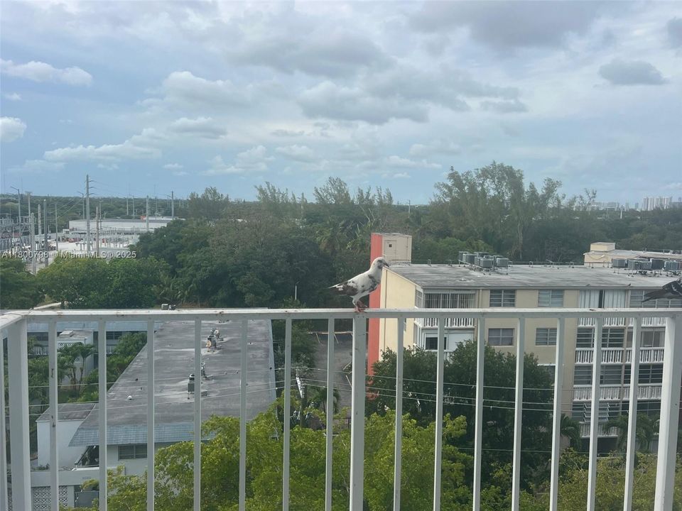 Activo con contrato: $109,900 (1 camas, 1 baños, 875 Pies cuadrados)