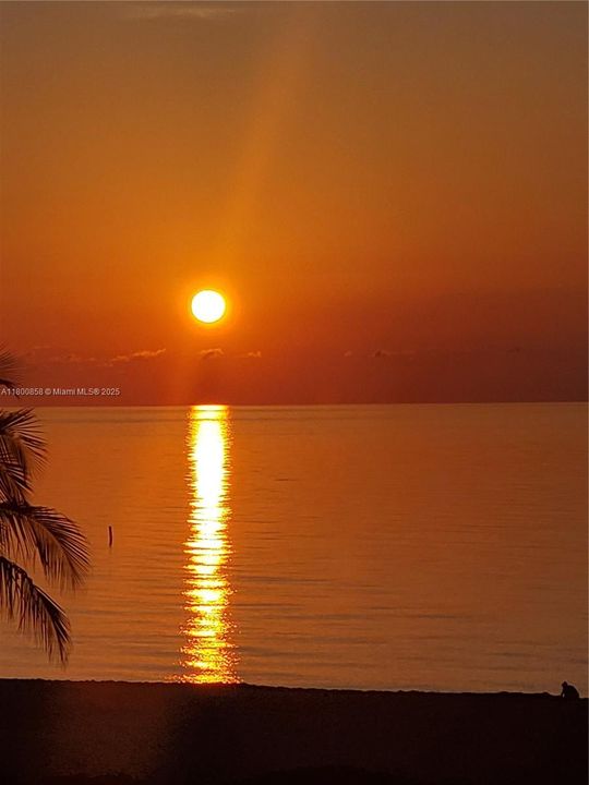 待售: $2,127,000 (3 贝兹, 3 浴室, 2090 平方英尺)