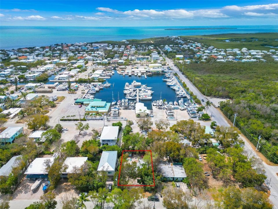 Recientemente alquilado: $2,900 (2 camas, 2 baños, 800 Pies cuadrados)