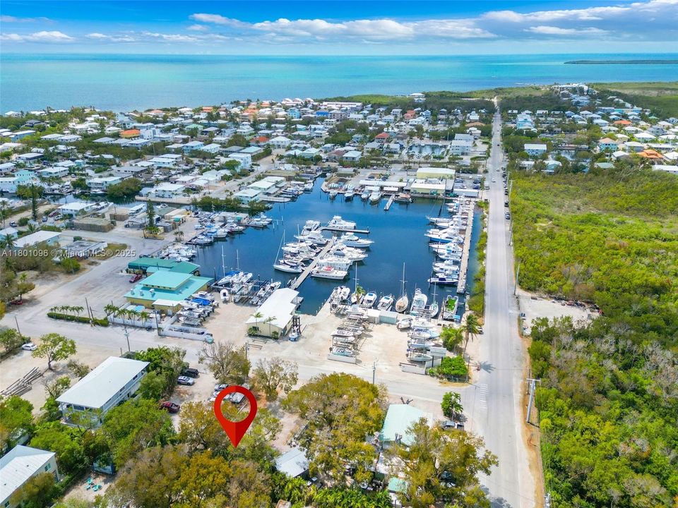 Recientemente alquilado: $2,900 (2 camas, 2 baños, 800 Pies cuadrados)