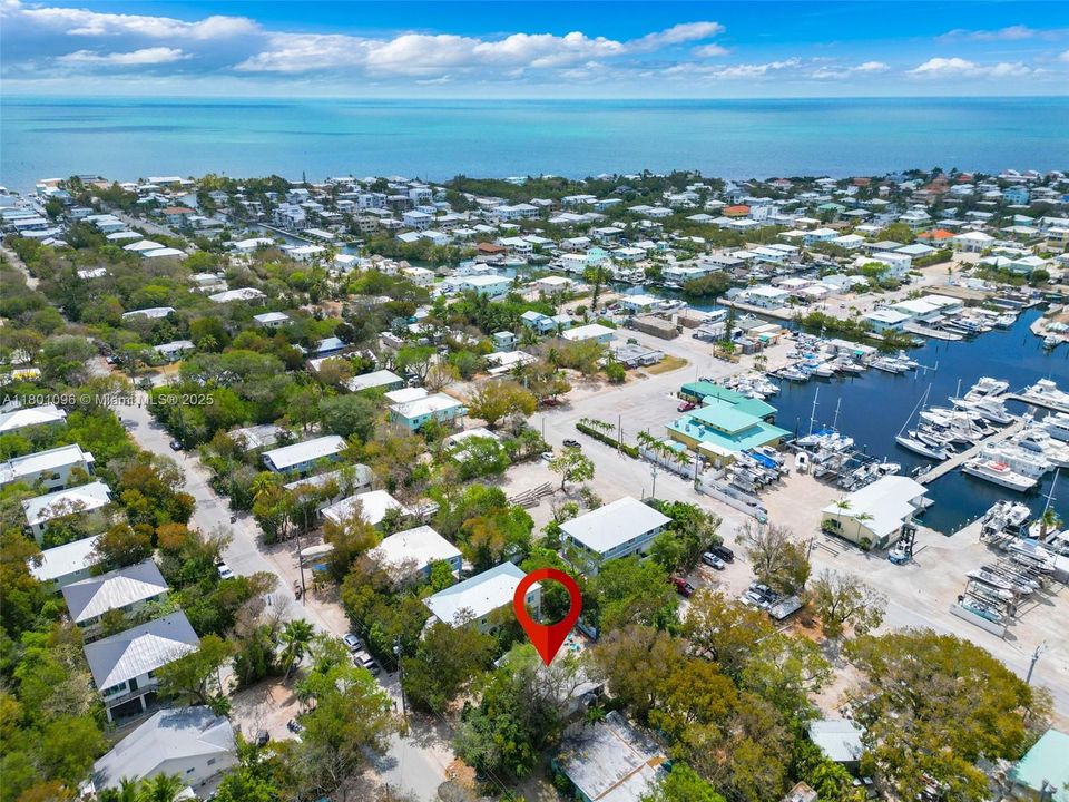 Recientemente alquilado: $2,900 (2 camas, 2 baños, 800 Pies cuadrados)