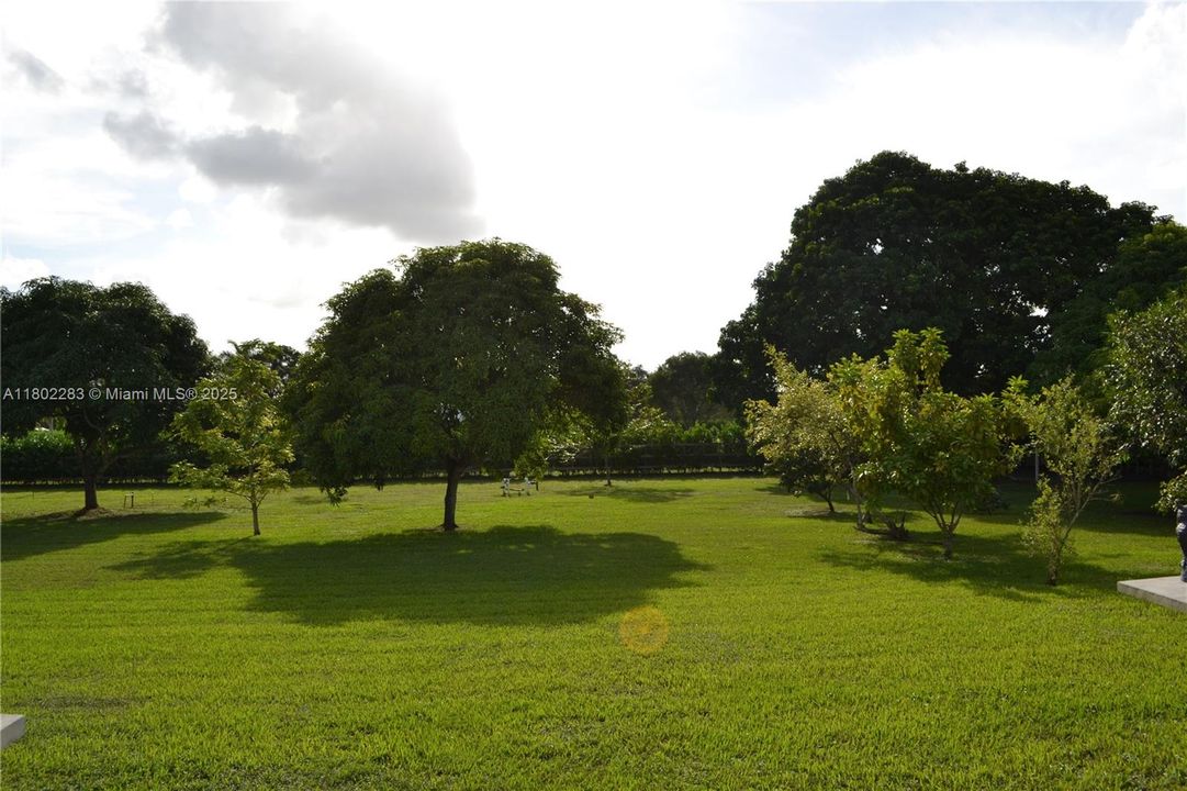 В аренду: $15,000 (6 спален, 4 ванн, 4052 Квадратных фут)