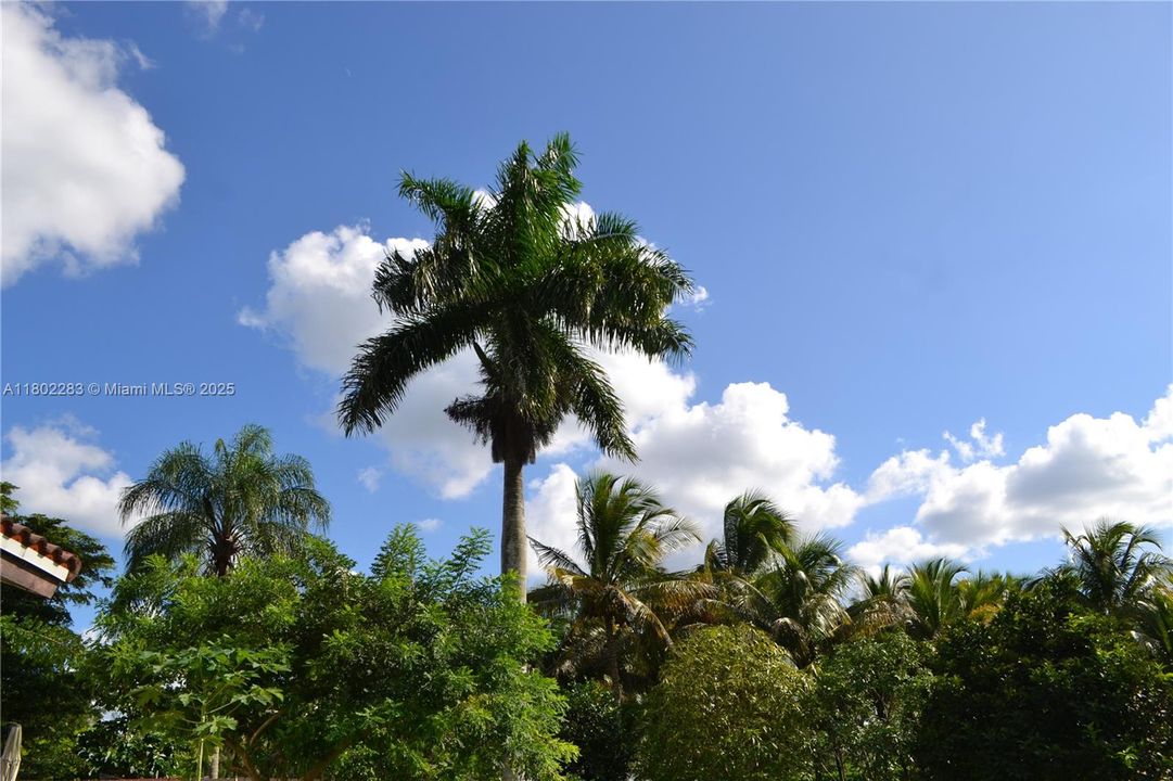 В аренду: $15,000 (6 спален, 4 ванн, 4052 Квадратных фут)