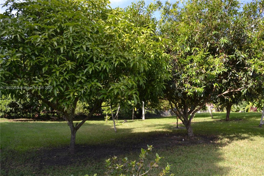 В аренду: $15,000 (6 спален, 4 ванн, 4052 Квадратных фут)