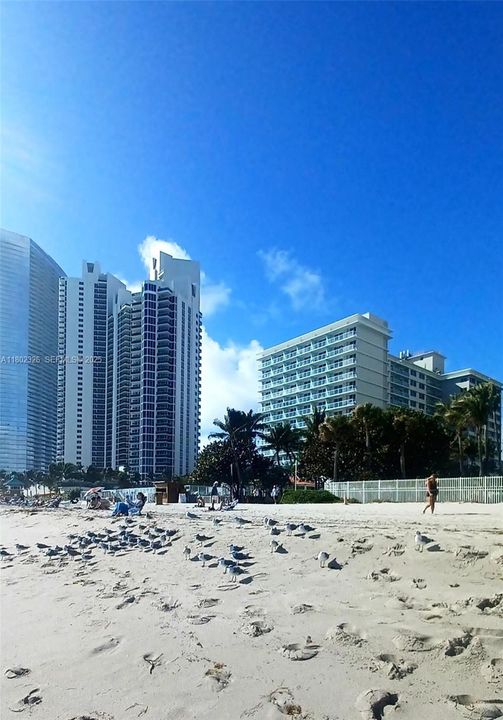 待售: $239,000 (1 贝兹, 1 浴室, 360 平方英尺)