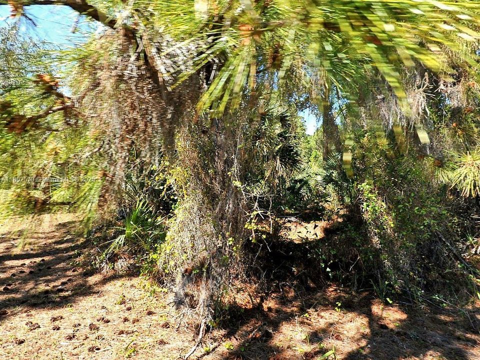 En Venta: $23,000 (10,680.00 acres)