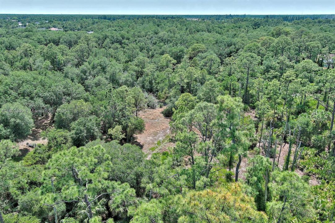 待售: $75,000 (1.00 acres)