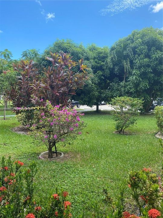 For Sale: $93,000 (1 beds, 1 baths, 585 Square Feet)