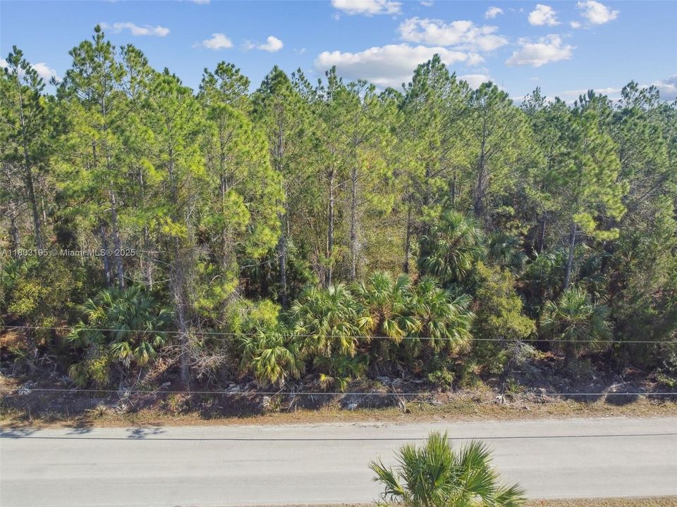 待售: $1,199,000 (0 贝兹, 0 浴室, 0 平方英尺)