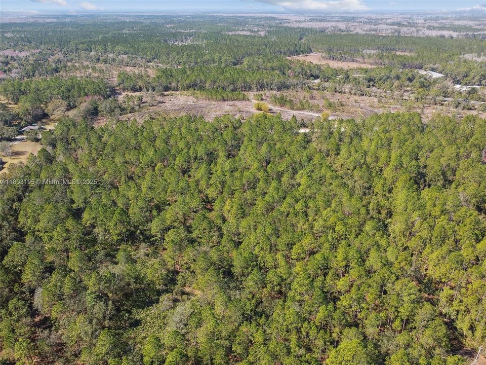 待售: $1,199,000 (0 贝兹, 0 浴室, 0 平方英尺)