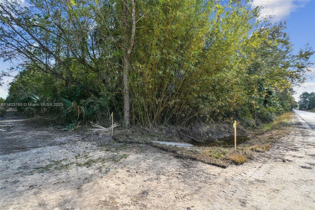 待售: $1,199,000 (0 贝兹, 0 浴室, 0 平方英尺)