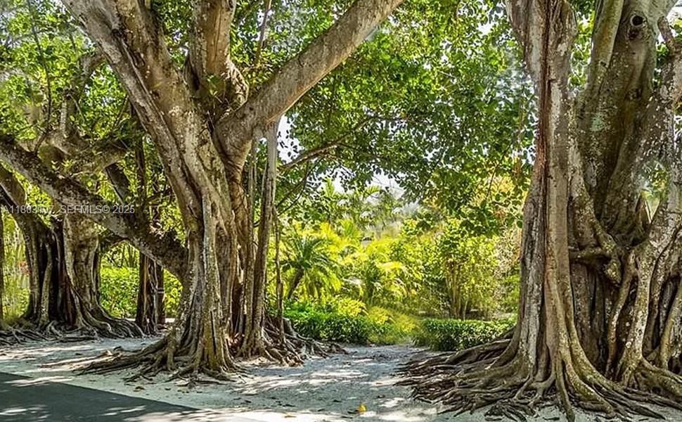 Vendido Recientemente: $21,599 (0.23 acres)