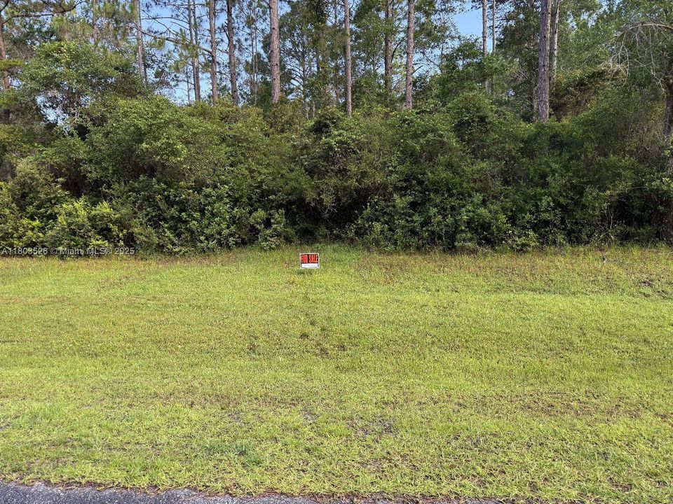待售: $56,000 (1.47 acres)