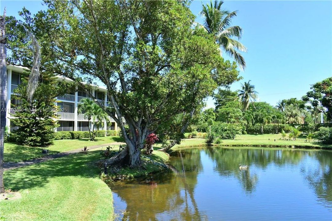 最近租的: $1,700 (2 贝兹, 2 浴室, 1040 平方英尺)