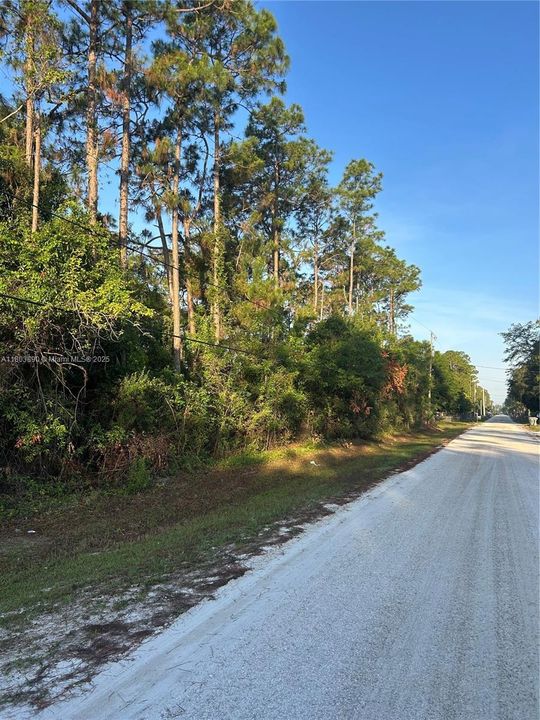 На продажу: $280,000 (1.15 acres)