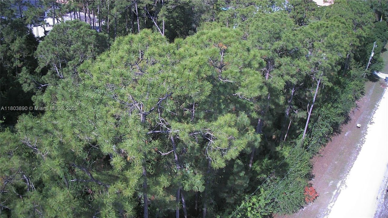 На продажу: $280,000 (1.15 acres)