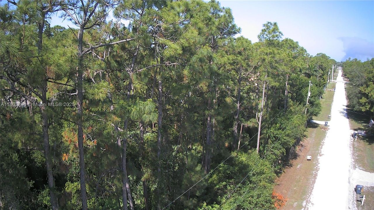 На продажу: $280,000 (1.15 acres)