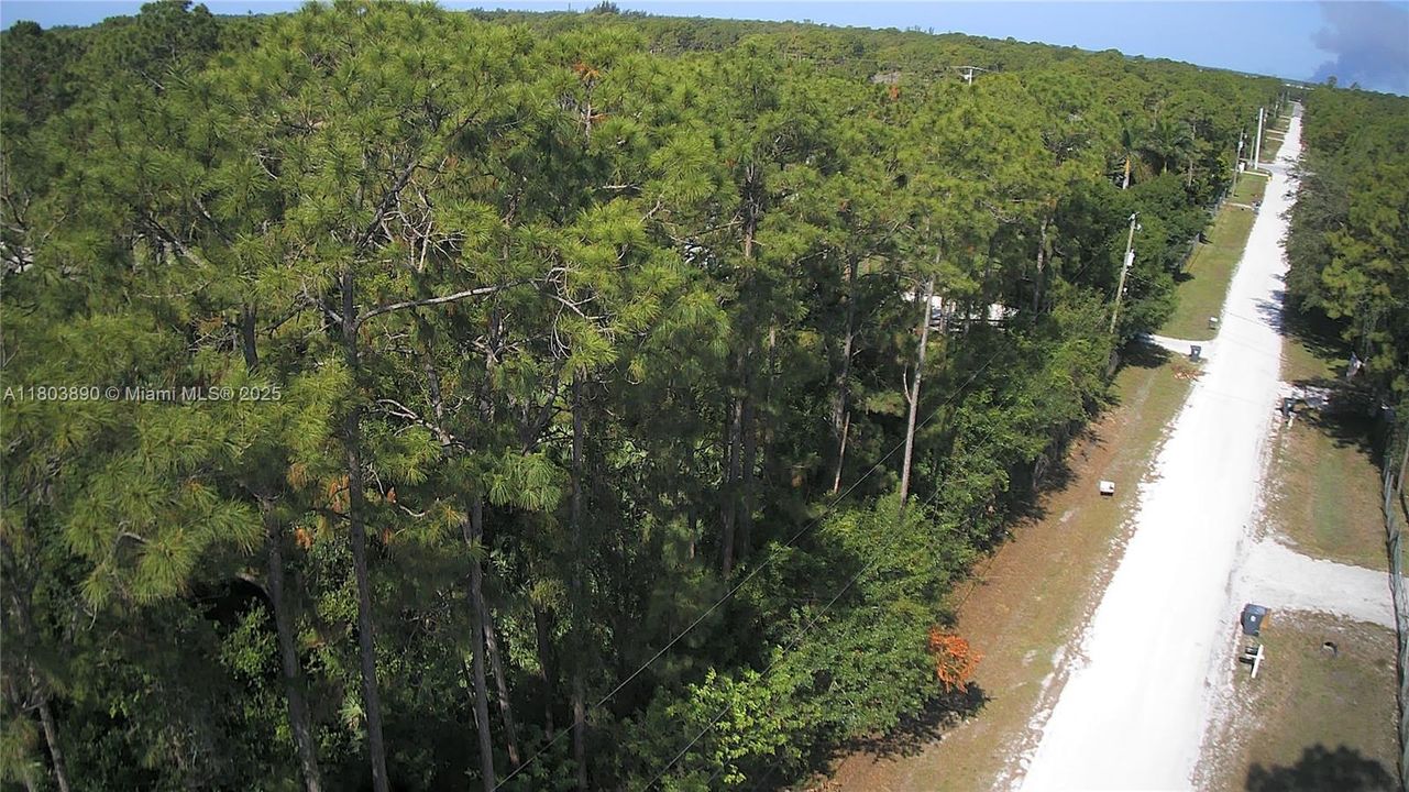 На продажу: $280,000 (1.15 acres)