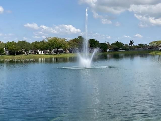 Community lake