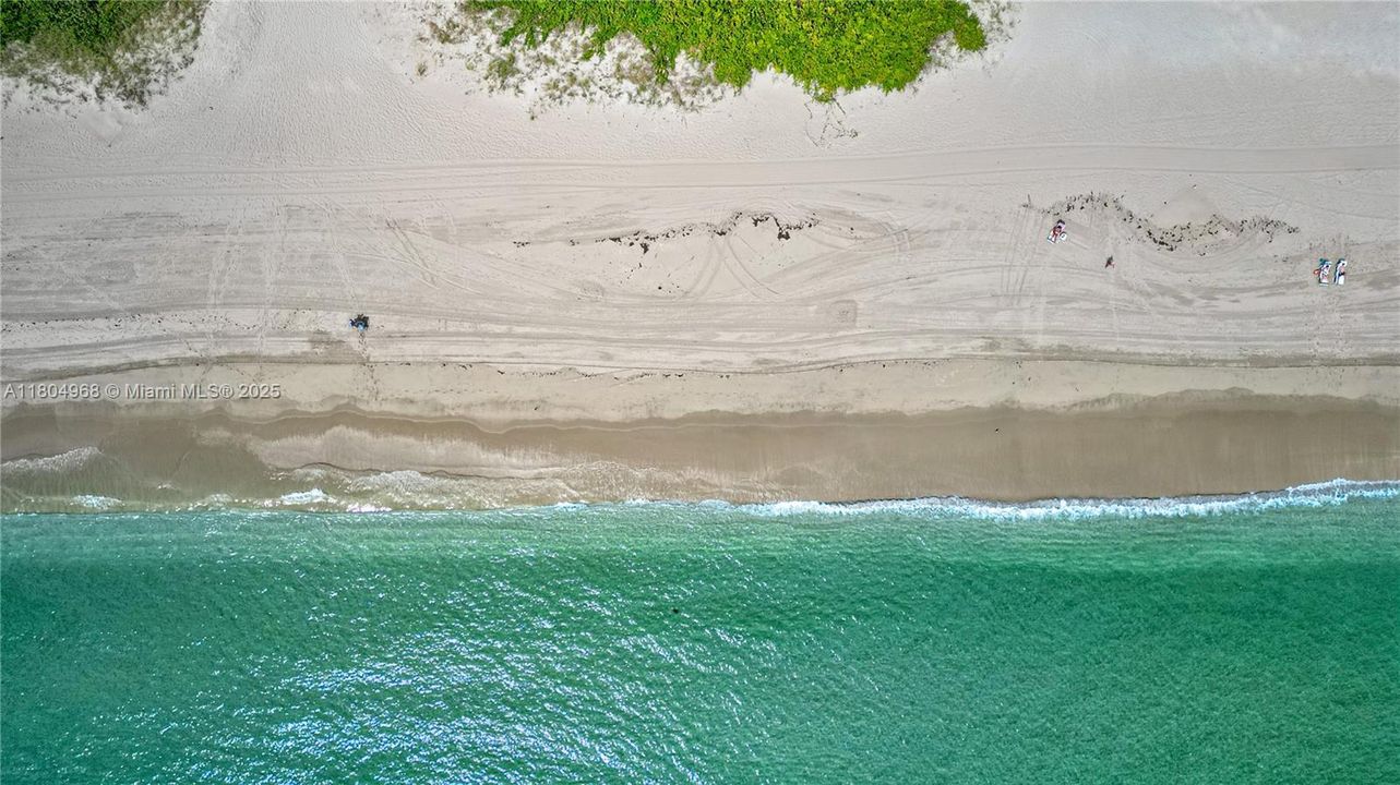 Activo con contrato: $4,899 (2 camas, 2 baños, 1570 Pies cuadrados)