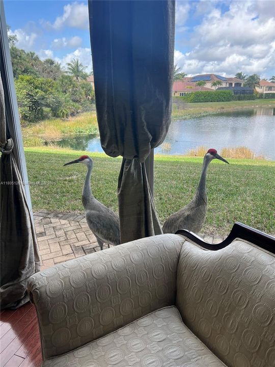 На продажу: $1,050,000 (5 спален, 4 ванн, 3904 Квадратных фут)