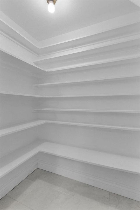 22-web-or-mls-5D1A4869