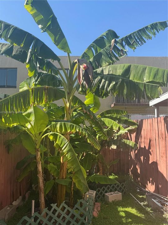 Recently Sold: $344,999 (2 beds, 2 baths, 885 Square Feet)