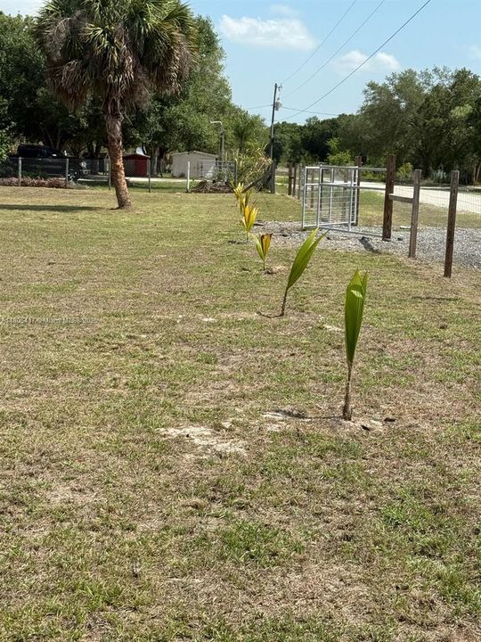 Recently Sold: $68,000 (1.25 acres)